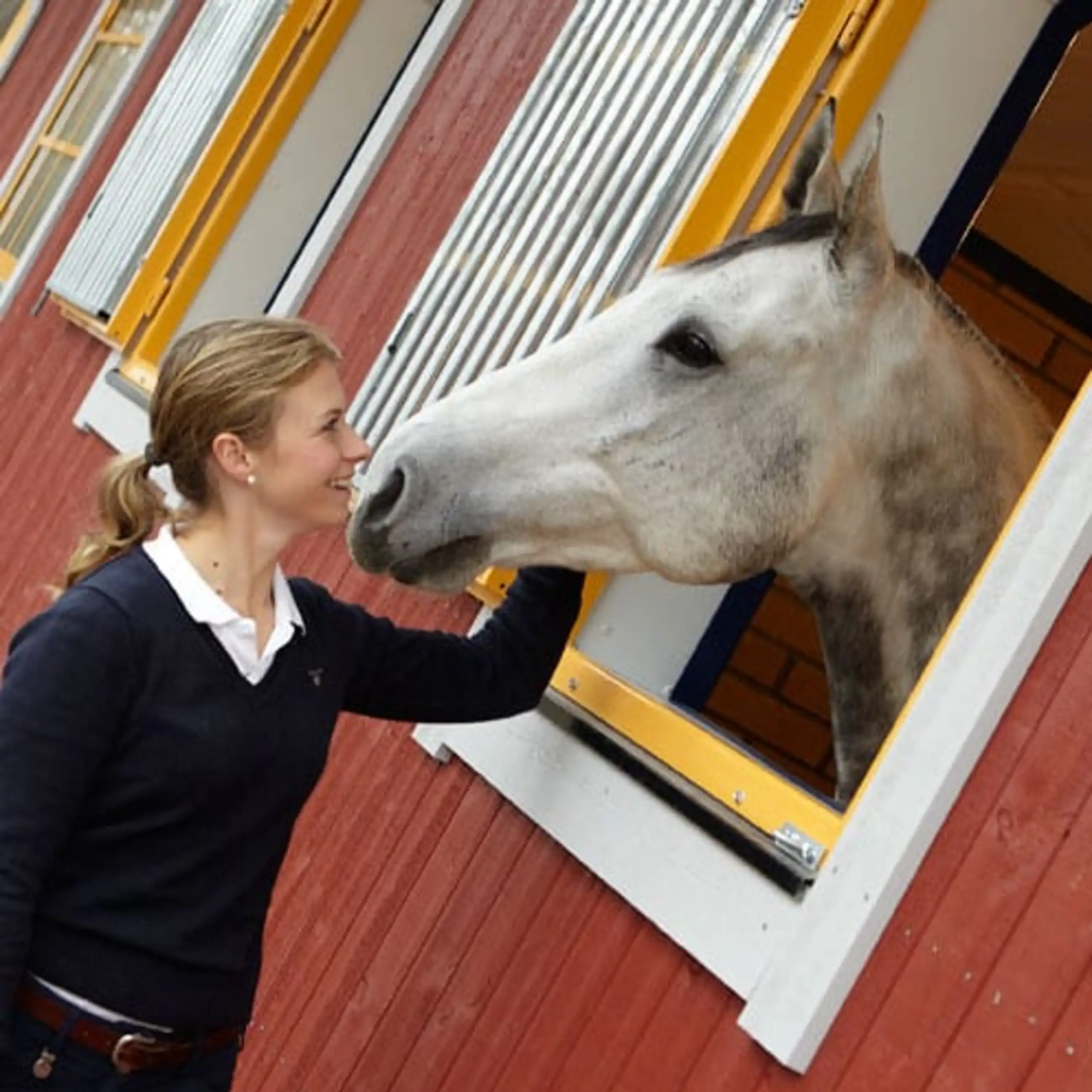 Stålfönster Valvat V 12x8/10 Galler - Bild 2