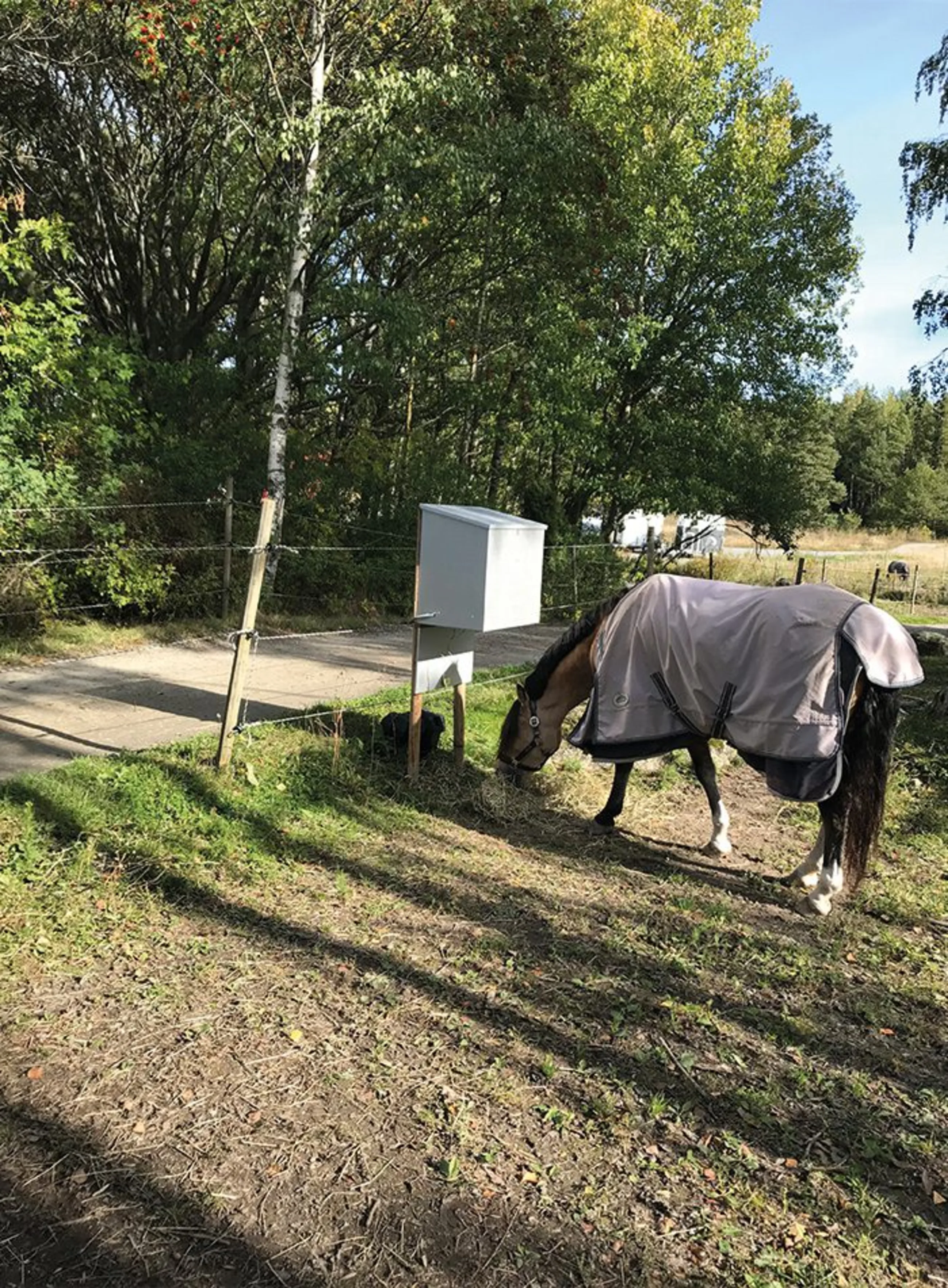 Myrby Lunchautomat för häst,140 l - Bild 1