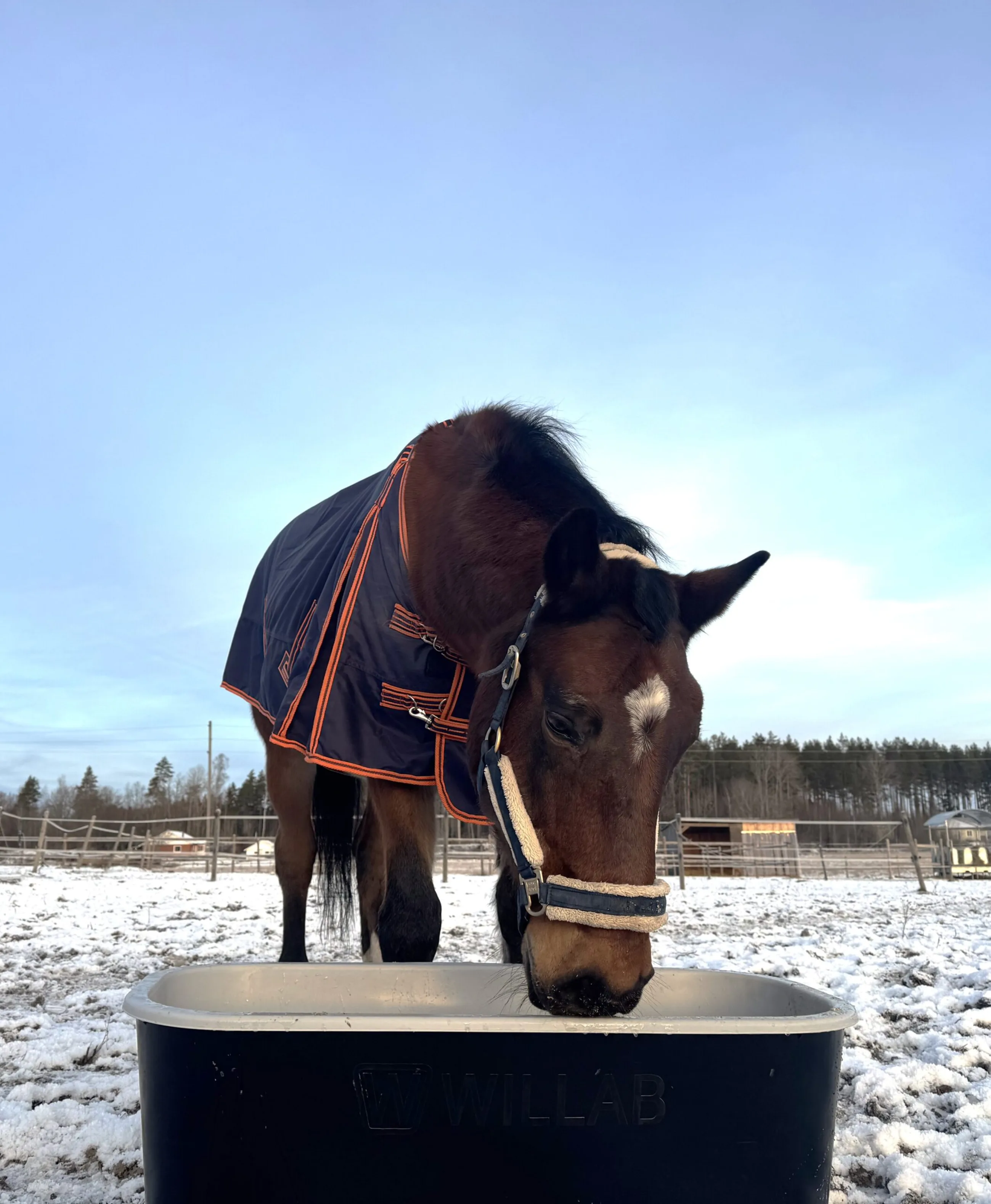 Elvärmebalja Rektangulär 120 L med Transformator & - 43225