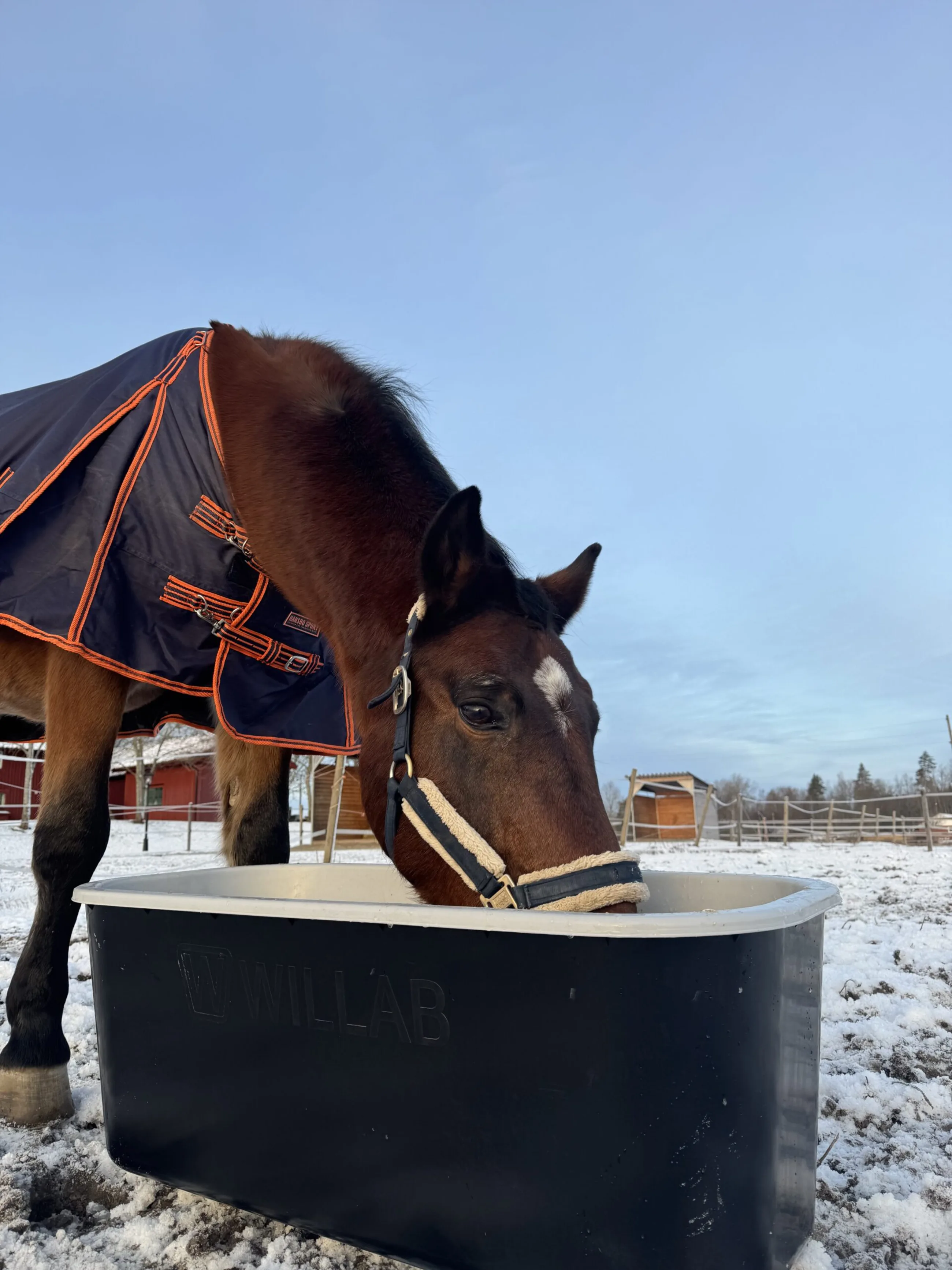 Elvärmebalja Rektangulär 120 L med Transformator & - Bild 2