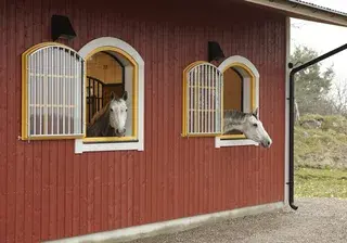 Stålfönster Valvat med galler - 450XX