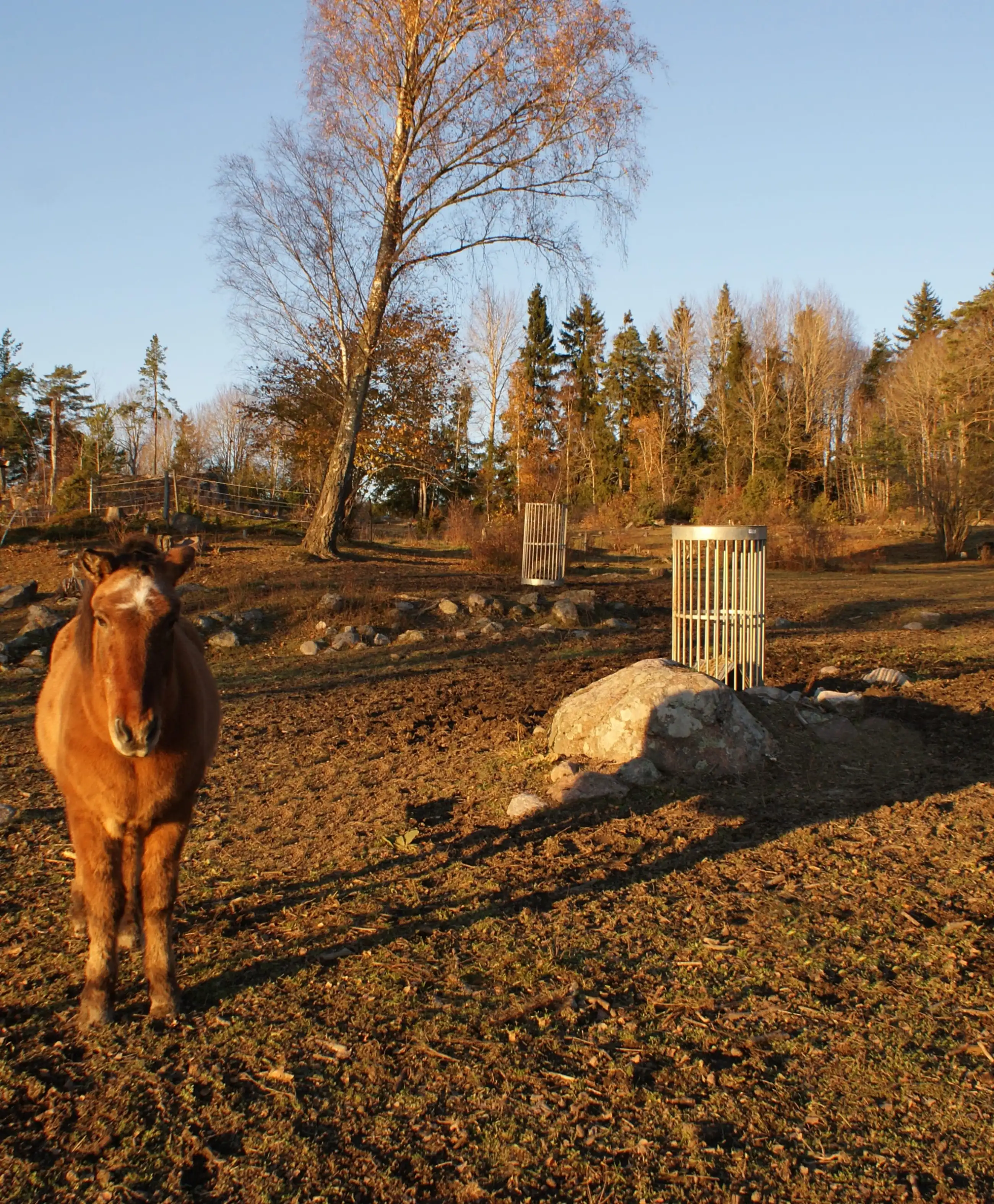 Utfodringshäck Klara, Ø800x1500 mm - Bild 2