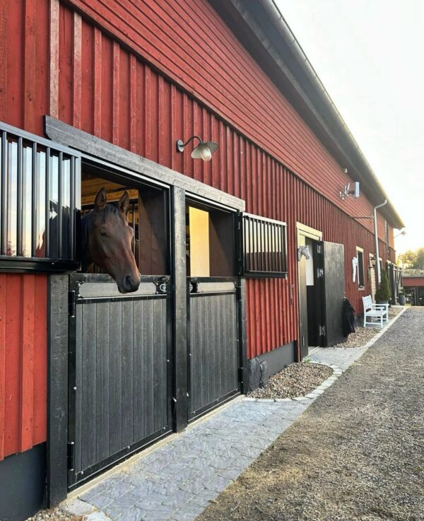 Boxytterdörr Rak 13,6x23,2 dm