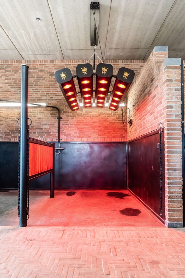 Molenkoning solarium premium - Bild 2