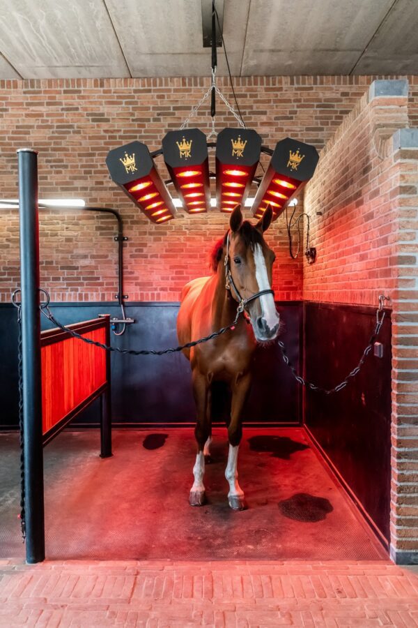 Molenkoning solarium premium