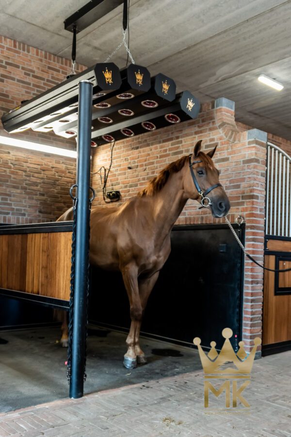 Molenkoning solarium premium - Bild 4